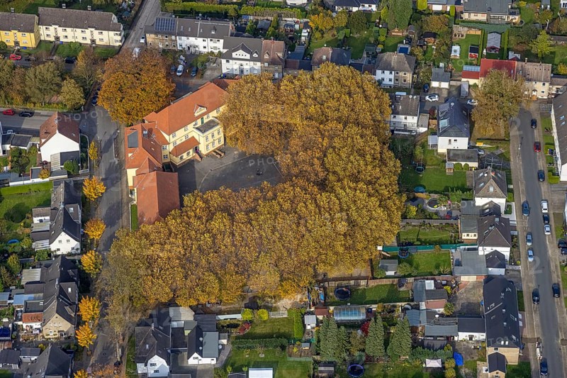 Aerial photo, Pestalozzi School and autumn-coloured trees in the district of Zweckel in Gladbeck, Ruhr area, North Rhine-Westphalia, Germany, education, educational institution, DE, Europe, Gladbeck, primary school, autumn colours, autumn forest colours, educational institute, aerial photo, aerial photography, aerial photography, school, overview, bird's eye view, birds-eyes view, overview