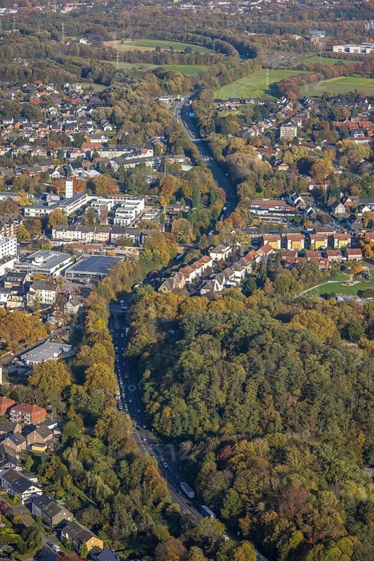 Aerial view, The Essener Straße federal road B224 in the district Butendorf in Gladbeck, Ruhr area, North Rhine-Westphalia, Germany, DE, Europe, Gartenstraße, Gladbeck, green trees, autumn colours, aerial view, aerial photography, aerial photography, overview, bird's eye view, residential complex, birds-eyes view, overview