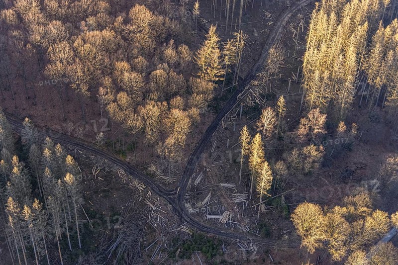 Aerial photograph, forest dieback at the LWL Open-Air Museum Hagen, Eilpe, Hagen, Ruhr area, North Rhine-Westphalia, Germany, DE, Europe, open-air museum, aerial photograph, aerial photography, aerial photography, museum, Mäckingerbach, overview, bird's-eye view, forest, forest area, forest damage, forest dieback, birds-eyes view, overview