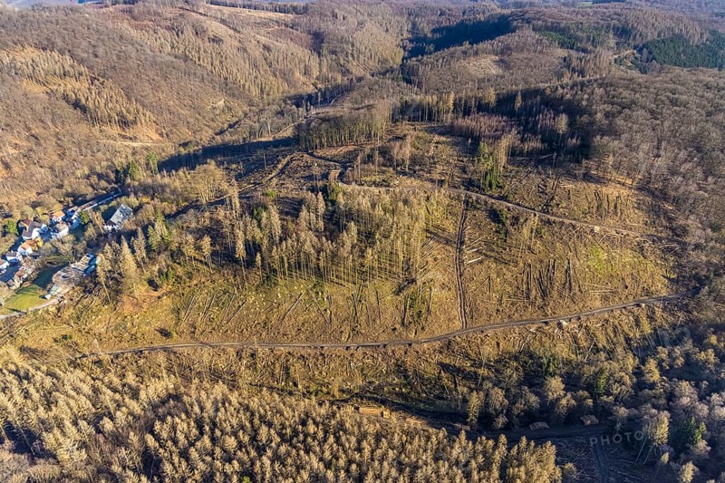 Aerial photograph, forest dieback at the LWL Open-Air Museum Hagen, Eilpe, Hagen, Ruhr area, North Rhine-Westphalia, Germany, DE, Europe, open-air museum, aerial photograph, aerial photography, aerial photography, museum, Mäckingerbach, overview, bird's-eye view, forest, forest area, forest damage, forest dieback, birds-eyes view, overview