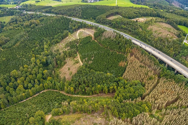 Aerial photograph, forest damage on the A45 motorway in the Dahl district of Hagen, Ruhr area, North Rhine-Westphalia, Germany, tree death, bark beetle damage, bark beetle plague, DE, Europe, Hagen, clear-cutting, aerial photograph, aerial photography, aerial photography, overview, bird's-eye view, forest damage, forest damage, forest dieback, birds-eyes view, overview