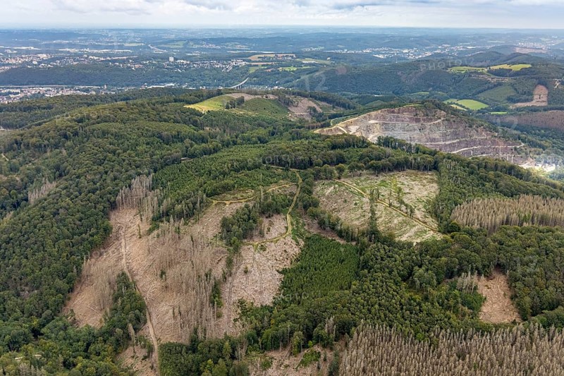 Aerial view, forest damage at Rafflenbeuler Kopf at the village Zurstraße in the district Eilpe in Hagen, Ruhr area, North Rhine-Westphalia, Germany, tree dieback, bark beetle damage, bark beetle plague, Breckerfeld, DE, Europe, spruce dieback, Hagen, hilly landscape, clear-cutting, aerial view, aerial photography, aerial photography, overview, bird's eye view, forest, forest area, forest damage, forest dieback, birds-eyes view, overview