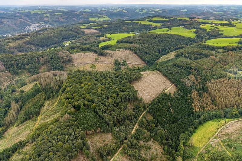 Aerial view, forest damage at Rafflenbeuler Kopf at the village Zurstraße in the district Eilpe in Hagen, Ruhr area, North Rhine-Westphalia, Germany, tree dieback, bark beetle damage, bark beetle plague, Breckerfeld, DE, Europe, spruce dieback, Hagen, hilly landscape, clear-cutting, aerial view, aerial photography, aerial photography, overview, bird's eye view, forest, forest area, forest damage, forest dieback, birds-eyes view, overview