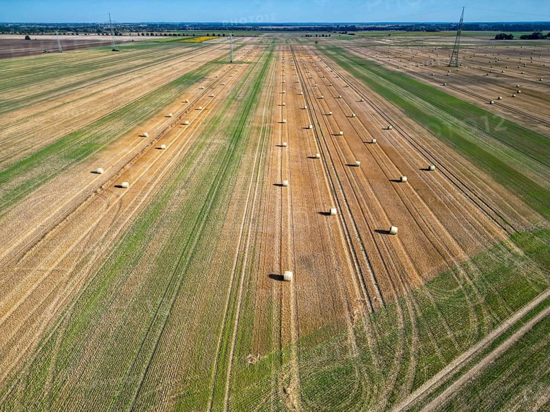 Farmland after harvest, hay bales, straw bales temporarily stored on field, baler, agriculture, harvest. Field landscape, field work, farmers, Saxony-Anhalt, Germany