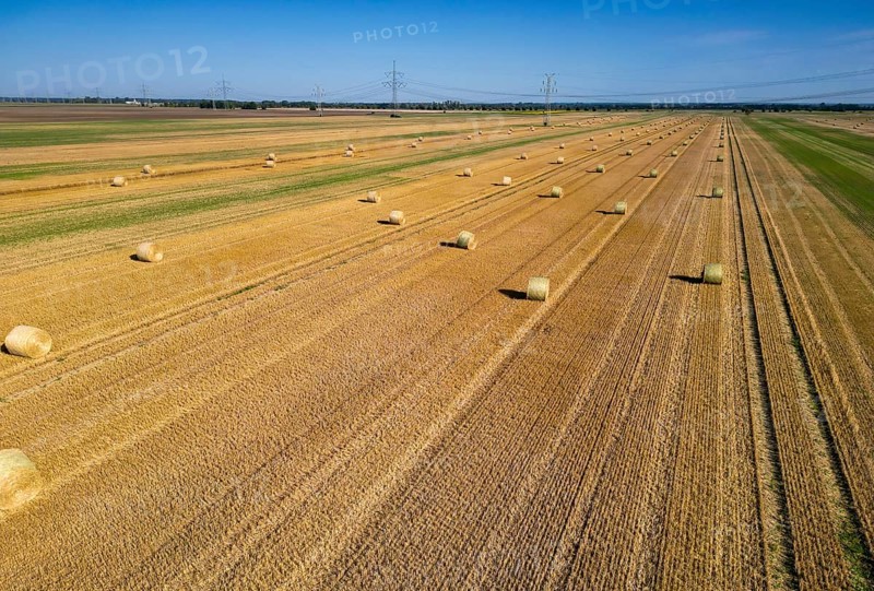 DefaultArable land after harvest, hay bales, straw bales temporarily stored on field, baler, agriculture, harvest. Field landscape, field work, farmers, Saxony-Anhalt, Germany
