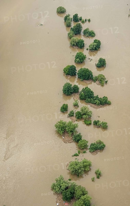 Aerial photograph, Ruhr floods, rows of trees in the Ruhr water, flooding, Blankenstein, Hattingen, Ruhr area, North Rhine-Westphalia, Germany, DE, Europe, birds-eyes view, aerial photograph, aerial photography, aerial photography, overview, bird's eye view, Ruhr floods, heavy rain, flood of the century