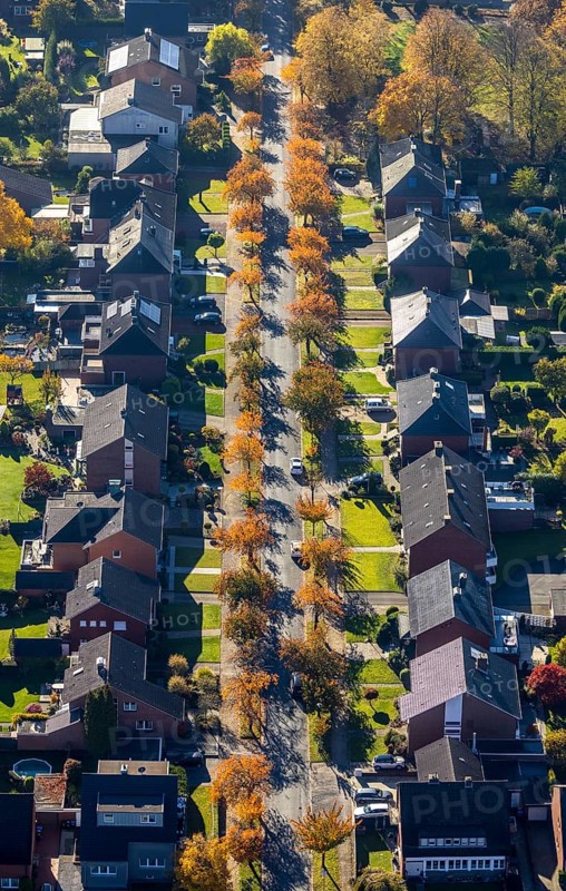 Aerial view, housing estate with autumnal avenue of trees between Berliner Straße and Hammer Straße in the district of Bockum-Hövel in Hamm, Ruhr area, North Rhine-Westphalia, Germany, Carl-Goerdeler-Straße, DE, Europe, property tax, Hamm, Hans-Böckler-Straße, autumn colours, autumn atmosphere, real estate, aerial view, aerial photography, aerial photography, overview, bird's eye view, housing estate, living and living, residential area, residential buildings, residential quality, residential quarter, housing estate, birds-eyes view, overview