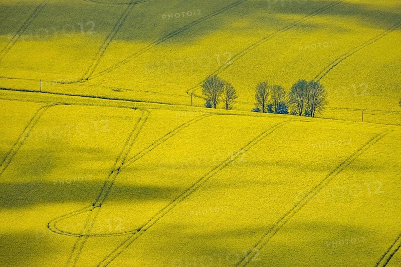 Aerial view, rape fields Heidestraße corner Dümgesweg, Leubeck, Heiligenhaus, Ruhr area, North Rhine-Westphalia, Germany, DE, Europe, colour yellow, shapes and colours, aerial view, aerial photography, aerial photography, traces in the landscape, overview, bird's-eye view, meadows and fields, birds-eyes view, overview