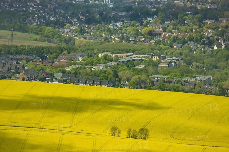 Aerial view, rape fields Heidestraße corner Dümgesweg, Leubeck, Heiligenhaus, Ruhr area, North Rhine-Westphalia, Germany, DE, Europe, colour yellow, shapes and colours, aerial view, aerial photography, aerial photography, traces in the landscape, overview, bird's-eye view, meadows and fields, birds-eyes view, overview