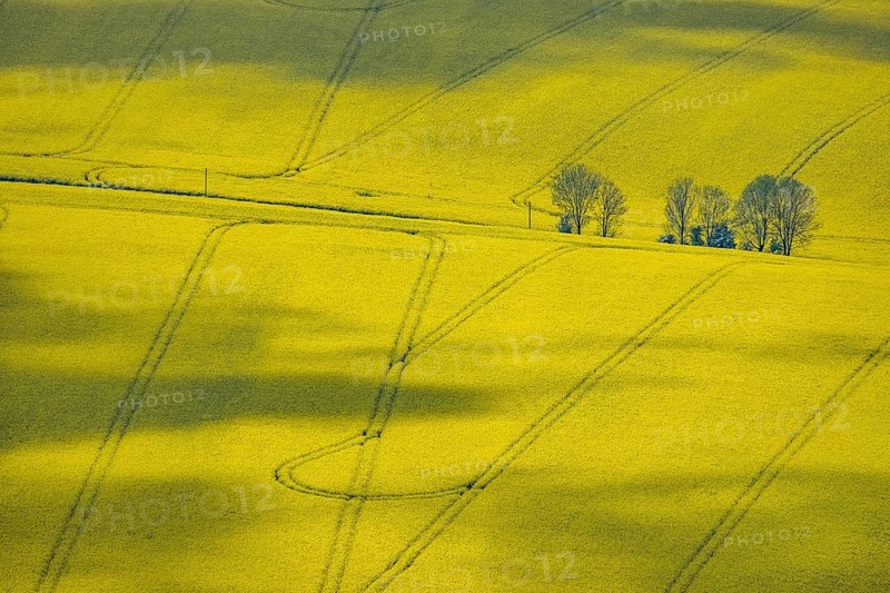 Aerial view, rape fields Heidestraße corner Dümgesweg, Leubeck, Heiligenhaus, Ruhr area, North Rhine-Westphalia, Germany, DE, Europe, colour yellow, shapes and colours, aerial view, aerial photography, aerial photography, traces in the landscape, overview, bird's-eye view, meadows and fields, birds-eyes view, overview