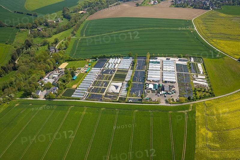 Aerial view, container nursery and perennials Kunz, Leubeck, Heiligenhaus, Ruhr area, North Rhine-Westphalia, Germany, nursery, DE, Europe, aerial view, aerial photography, aerial photography, overview, bird's-eye view, overview