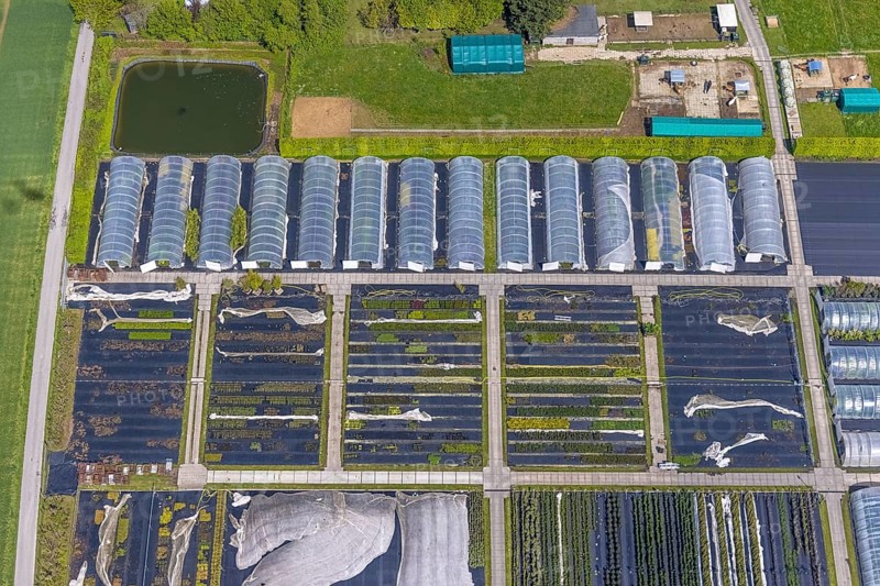 Aerial view, container nursery and perennials Kunz, Leubeck, Heiligenhaus, Ruhr area, North Rhine-Westphalia, Germany, nursery, DE, Europe, aerial view, aerial photography, aerial photography, overview, birds-eyes view, overview, greenhouse, greenhouses