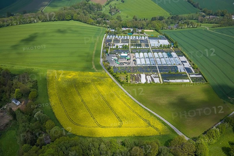 Aerial view, container nursery and perennials Kunz, Leubeck, Heiligenhaus, Ruhr area, North Rhine-Westphalia, Germany, nursery, DE, Europe, aerial view, aerial photography, aerial photography, overview, bird's-eye view, overview