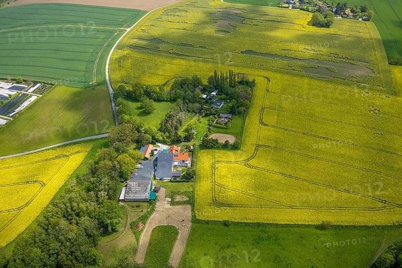 Aerial view, rape fields, agricultural estate Herbeckweg, Leubeck, Heiligenhaus, Ruhr area, North Rhine-Westphalia, Germany, DE, Europe, colour yellow, shapes and colours, aerial view, aerial photography, aerial photography, traces in the landscape, overview, bird's-eye view, meadows and fields, birds-eyes view, overview