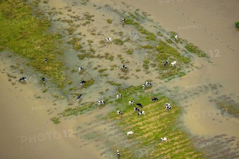 Aerial photo, Ruhr flood, Altendorf, Fröndenberg/Ruhr, Ruhr area, North Rhine-Westphalia, Germany, DE, Europe, birds-eyes view, aerial photography, aerial photography, overview, overview, bird's eye view