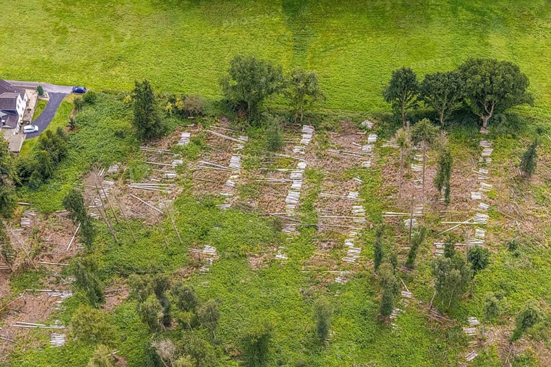 Aerial view, forest with felled trees at Holtkamp in the district Bausenhagen, Fröndenberg/Ruhr, Ruhr area, North Rhine-Westphalia, Germany, DE, Europe, clear cutting, aerial view, aerial photography, aerial photography, overview, bird's eye view, forest damage, forest damage, birds-eyes view, overview