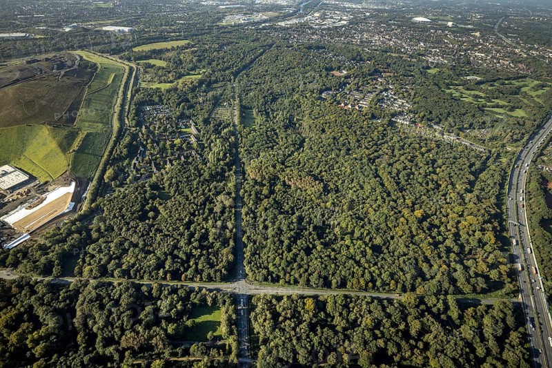Aerial view, Resser Mark city forest with Münsterstrasse in the Resser Mark district of Gelsenkirchen, Ruhr area, North Rhine-Westphalia, Germany, DE, Emscherbruch, Europe, Gelsenkirchen, aerial view, aerial photography, aerial photography, nature reserve, Emscherbruch nature reserve, overview, bird's eye view, forest, birds-eyes view, overview