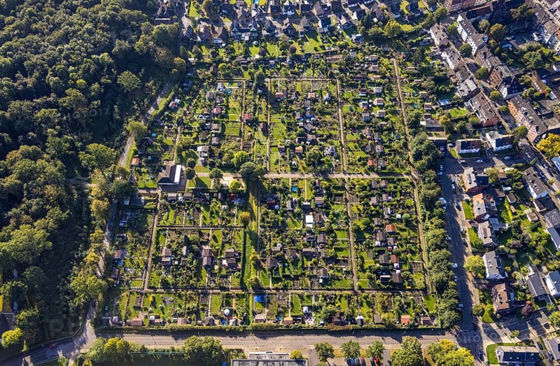 Aerial view, allotment garden association Buer-Erle in the district Erle in Gelsenkirchen, Ruhr area, North Rhine-Westphalia, Germany, DE, Europe, Gelsenkirchen, community garden, allotment garden, allotment garden site, allotment garden association, aerial view, aerial photography, aerial photography, allotment garden, overview, bird's-eye view, overview