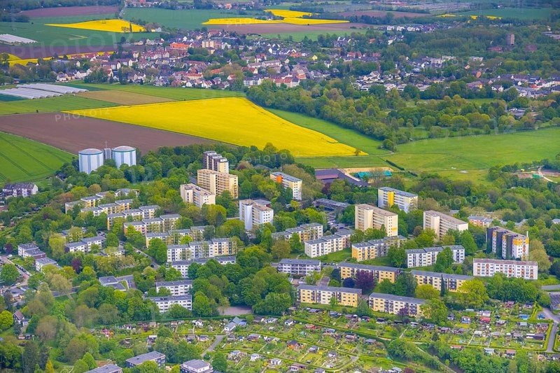 Aerial view, rape fields, Essen-Freisenbruch, Essen, Ruhr area, North Rhine-Westphalia, Germany, DE, Europe, colour yellow, shapes and colours, aerial view, aerial photography, aerial photography, nature, overview, bird's-eye view, meadows and fields, birds-eyes view, overview