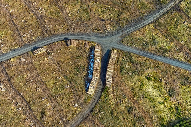 Aerial view, forest damage in the forest area Berg Ebschloh, Erndtebrück, Siegerland, North Rhine-Westphalia, Germany, tree dieback, DE, Europe, shapes and colours, aerial view, aerial photography, aerial photography, overview, bird's-eye view, forest, forest area, forest damage, forest dieback, birds-eyes view, overview, bark beetle plague, spruce dieback, clearing, tree clearing, deforestation, woodpile