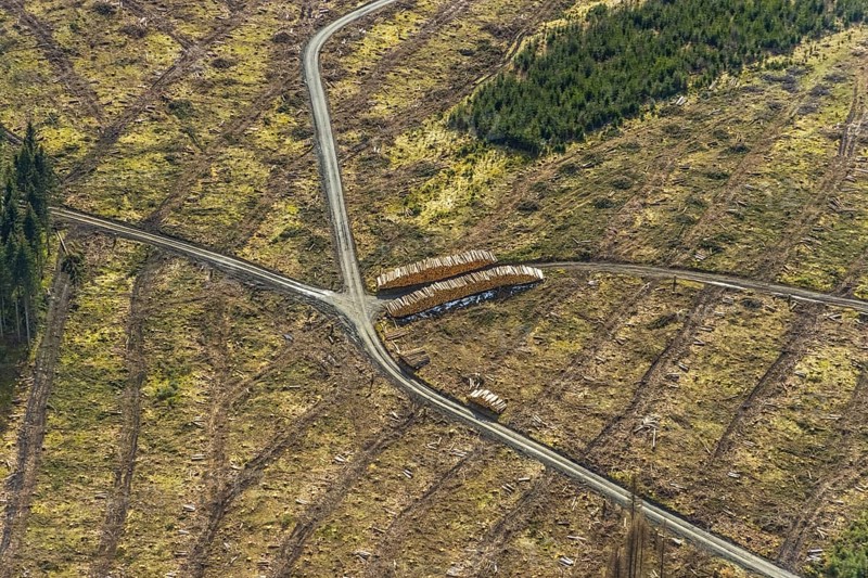 Aerial view, forest damage in the forest area Berg Ebschloh, Erndtebrück, Siegerland, North Rhine-Westphalia, Germany, tree dieback, DE, Europe, shapes and colours, aerial view, aerial photography, aerial photography, overview, bird's-eye view, forest, forest area, forest damage, forest dieback, birds-eyes view, overview, bark beetle plague, spruce dieback, clearing, tree clearing, deforestation, woodpile
