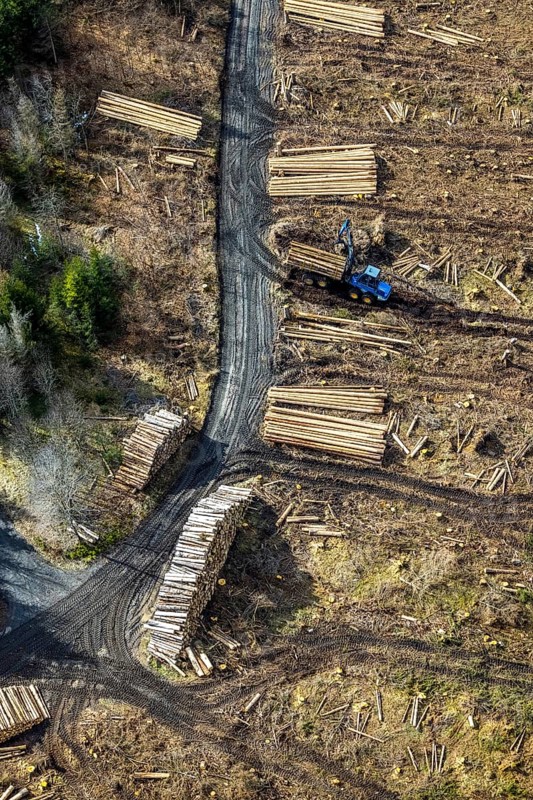 Aerial photo, forest damage in the forest area Berg Ebschloh, timber transport, Erndtebrück, Siegerland, North Rhine-Westphalia, Germany, tree dieback, DE, Europe, aerial photo, aerial photography, aerial photography, overview, bird's eye view, forest, forest area, forest damage, forest dieback, birds-eyes view, overview, bark beetle plague, spruce dieback, clearing, tree clearing, deforestation, woodpile