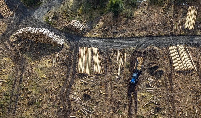 Aerial photo, forest damage in the forest area Berg Ebschloh, timber transport, Erndtebrück, Siegerland, North Rhine-Westphalia, Germany, tree dieback, DE, Europe, aerial photo, aerial photography, aerial photography, overview, bird's eye view, forest, forest area, forest damage, forest dieback, birds-eyes view, overview, bark beetle plague, spruce dieback, clearing, tree clearing, deforestation, woodpile