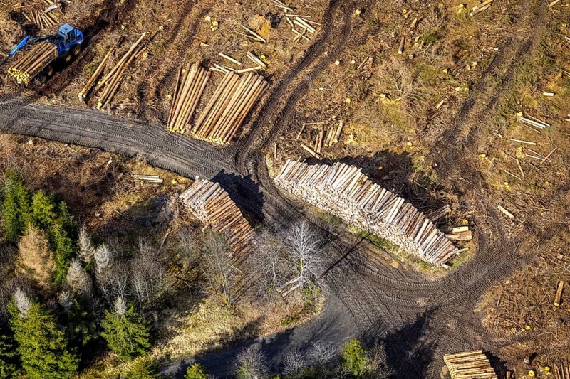Aerial photo, forest damage in the forest area Berg Ebschloh, timber transport, Erndtebrück, Siegerland, North Rhine-Westphalia, Germany, tree dieback, DE, Europe, aerial photo, aerial photography, aerial photography, overview, bird's eye view, forest, forest area, forest damage, forest dieback, birds-eyes view, overview, bark beetle plague, spruce dieback, clearing, tree clearing, deforestation, woodpile