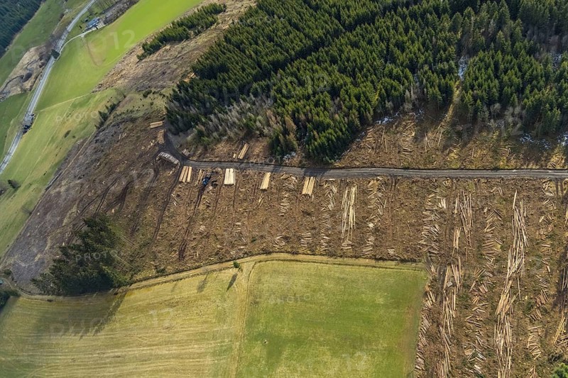 Aerial view, forest damage in the forest area Berg Ebschloh, Erndtebrück, Siegerland, North Rhine-Westphalia, Germany, tree dieback, DE, Europe, shapes and colours, aerial view, aerial photography, aerial photography, overview, bird's-eye view, forest, forest area, forest damage, forest dieback, birds-eyes view, overview, bark beetle plague, spruce dieback, clearing, tree clearing, deforestation, woodpile