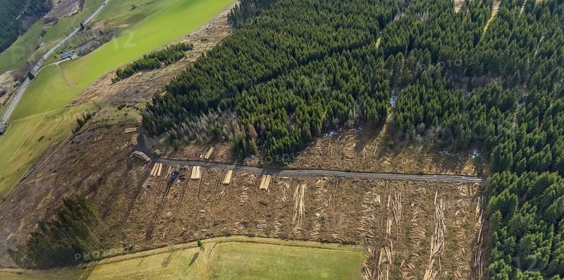 Aerial view, forest damage in the forest area Berg Ebschloh, Erndtebrück, Siegerland, North Rhine-Westphalia, Germany, tree dieback, DE, Europe, shapes and colours, aerial view, aerial photography, aerial photography, overview, bird's-eye view, forest, forest area, forest damage, forest dieback, birds-eyes view, overview, bark beetle plague, spruce dieback, clearing, tree clearing, deforestation, woodpile