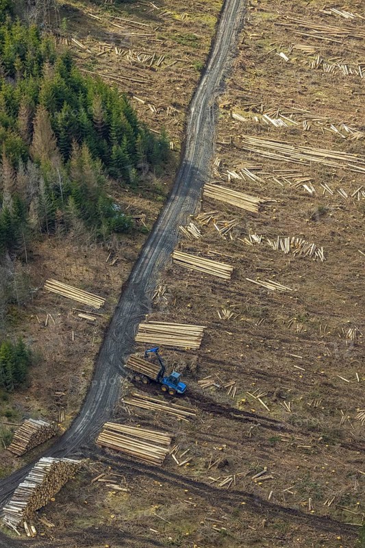 Aerial view, forest damage in the forest area Berg Ebschloh, Erndtebrück, Siegerland, North Rhine-Westphalia, Germany, tree dieback, DE, Europe, shapes and colours, aerial view, aerial photography, aerial photography, overview, bird's-eye view, forest, forest area, forest damage, forest dieback, birds-eyes view, overview, bark beetle plague, spruce dieback, clearing, tree clearing, deforestation, woodpile