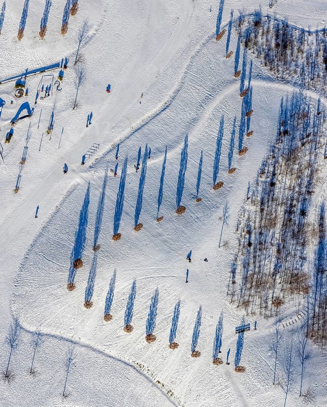Aerial view, shadow play in snow-covered Krupp Park, Westviertel, Essen, Ruhr area, North Rhine-Westphalia, Germany, row of trees, DE, Europe, shapes and colours, aerial view, aerial photography, aerial photography, park, shadows, snow, walkers, overview, bird's eye view, winter, winter landscape, birds-eyes view, overview