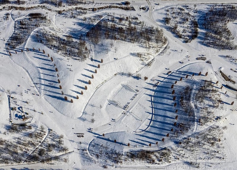 Aerial view, shadow play in snow-covered Krupp Park, Westviertel, Essen, Ruhr area, North Rhine-Westphalia, Germany, row of trees, DE, Europe, shapes and colours, aerial view, aerial photography, aerial photography, park, shadows, snow, walkers, overview, bird's eye view, winter, winter landscape, birds-eyes view, overview