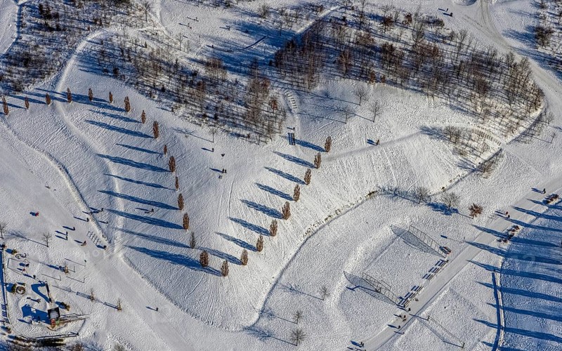 Aerial view, shadow play in snow-covered Krupp Park, Altendorf, Essen, Ruhr area, North Rhine-Westphalia, Germany, row of trees, DE, Europe, shapes and colours, aerial view, aerial photography, aerial photography, park, shadows, snow, walkers, overview, bird's eye view, winter, winter landscape, birds-eyes view, overview