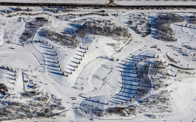 Aerial view, shadow play in snow-covered Krupp Park, Westviertel, Essen, Ruhr area, North Rhine-Westphalia, Germany, row of trees, DE, Europe, shapes and colours, aerial view, aerial photography, aerial photography, park, shadows, snow, walkers, overview, bird's eye view, winter, winter landscape, birds-eyes view, overview