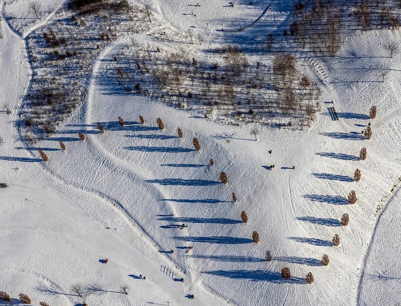 Aerial view, shadow play in snow-covered Krupp Park, Westviertel, Essen, Ruhr area, North Rhine-Westphalia, Germany, row of trees, DE, Europe, shapes and colours, aerial view, aerial photography, aerial photography, park, shadows, snow, walkers, overview, bird's eye view, winter, winter landscape, birds-eyes view, overview