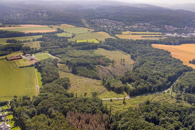 Aerial view, forest area Fürstenberg and Höinger Heide with forest damage, sports field Höingen, Ense, Sauerland, North Rhine-Westphalia, Germany, tree death, bark beetle damage, bark beetle plague, DE, Europe, football pitch, football stadium, clear-cutting, aerial photography, aerial photography, aerial photography, sports, sports facilities, sports field, sports shooting, sports facility, tennis, tennis facility, tennis courts, drought, overview, bird's-eye view, forest, forest damage, forest damage, forest dieback, birds-eyes view, overview
