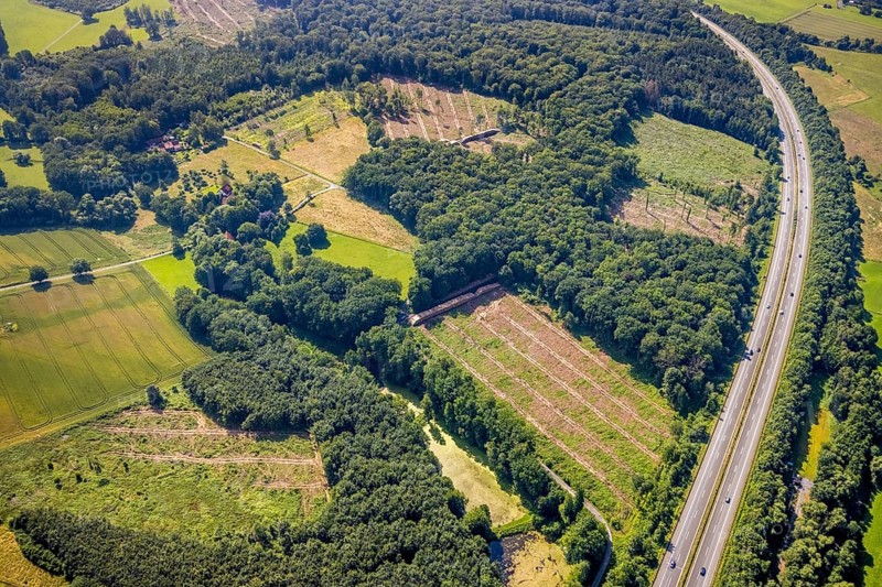 Aerial photo, Fürstenberg Füchtener Heide forest area with forest damage in Hünningen, Ense, Sauerland, North Rhine-Westphalia, Germany, motorway A445, tree death, bark beetle damage, bark beetle plague, DE, Europe, clear-cutting, aerial photo, aerial photography, aerial photography, overview, bird's-eye view, forest, forest area, forest damage, forest dieback, birds-eyes view, overview