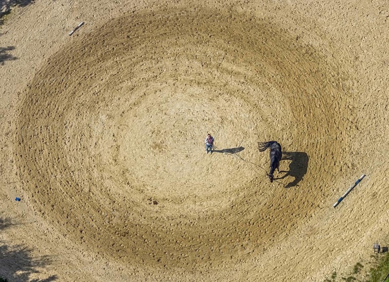 Aerial view, horse training at the Wolfshövel riding centre in the Königsfeld district of Ennepetal, Ruhr area, North Rhine-Westphalia, Germany, DE, Ennepetal, Europe, aerial view, aerial photography, aerial photography, horses, equestrian sports, riding centre, riding school, equestrian sports centre, riding stable, overview, bird's-eye view, overview
