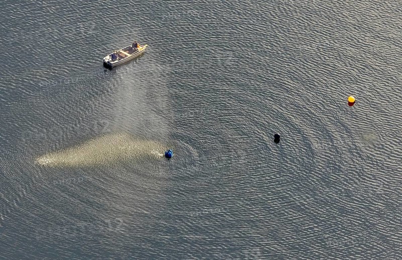 Aerial view, Ennepetalsperre and boat with water fountain in the district Altenbreckerfeld in Breckerfeld, Ruhr area, North Rhine-Westphalia, Germany, Breckerfeld, DE, Europe, aerial view, aerial photography, aerial photography, dam, overview, bird's eye view, birds-eyes view, overview