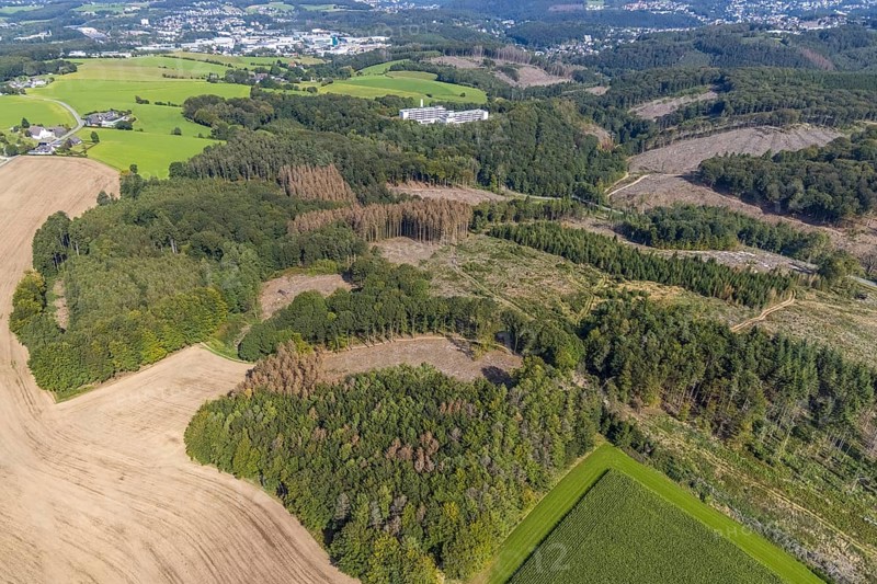 Aerial view, Königsfeld Rehabilitation Clinic and forest damage in the Windgarten district of Ennepetal, Ruhr area, North Rhine-Westphalia, Germany, tree death, bark beetle damage, bark beetle plague, DE, Ennepetal, Europe, spruce death, health care, hospital, clear-cutting, clinic, clinic, hospital, hospital, aerial view, aerial photography, aerial photography, medical facility, medical aid, rehab clinic, overview, bird's-eye view, forest, forest area, forest damage, forest dieback, birds-eyes view, overview, medical care