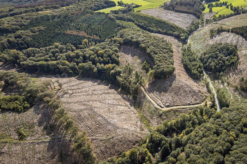 Aerial photo, forest damage in the Windgarten district of Ennepetal, Ruhr area, North Rhine-Westphalia, Germany, tree death, bark beetle damage, bark beetle plague, DE, Ennepetal, Europe, spruce death, clear-cutting, aerial photo, aerial photography, aerial photography, overview, bird's-eye view, forest, forest damage, forest dieback, birds-eyes view, overview