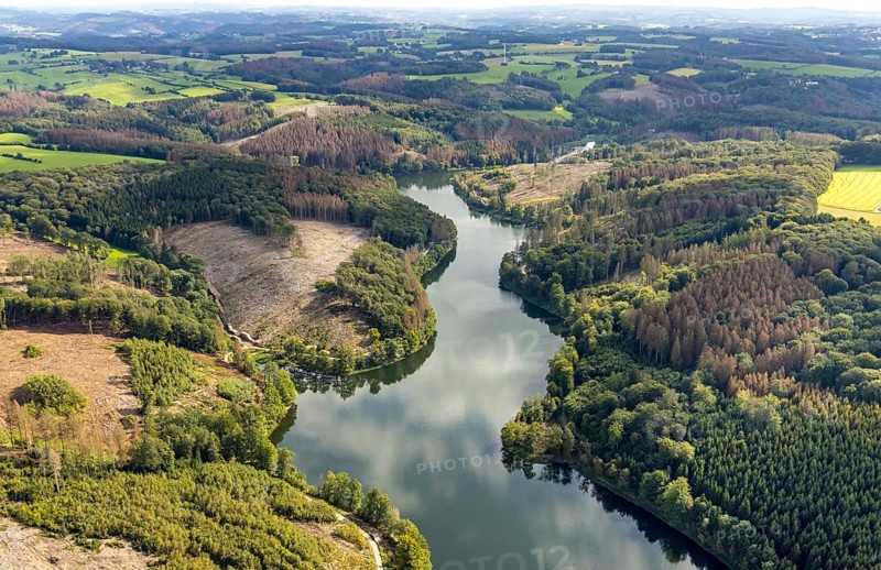 Aerial photo, forest damage at the Ennepetalsperre in the Altenbreckerfeld district of Breckerfeld, Ruhr area, North Rhine-Westphalia, Germany, tree dieback, bark beetle damage, bark beetle plague, Breckerfeld, DE, Europe, clear-cutting, aerial photo, aerial photography, aerial photography, dam, overview, bird's eye view, forest, forest damage, forest dieback, birds-eyes view, overview