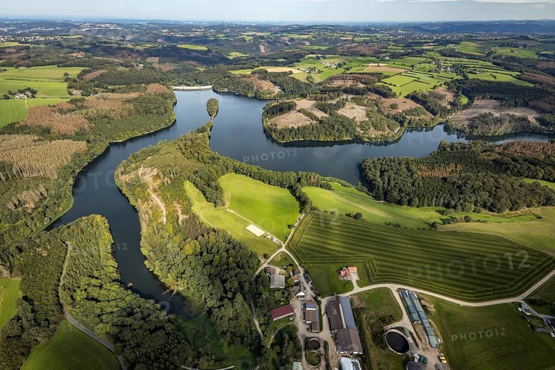 Aerial view, forest damage at the Ennepetalsperre dam with dam wall in the Altenbreckerfeld district in Breckerfeld, Ruhr area, North Rhine-Westphalia, Germany, tree dieback, bark beetle damage, bark beetle plague, Breckerfeld, DE, Europe, clear-cutting, aerial view, aerial photography, aerial photography, dam, overview, bird's eye view, forest, forest damage, forest dieback, birds-eyes view, overview