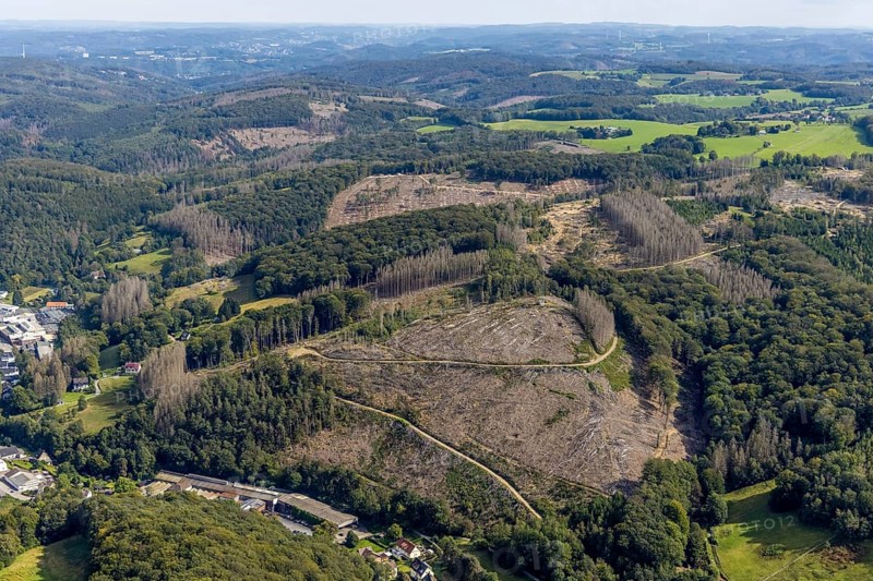 Aerial view, forest damage at the Talsperrenweg in the district Voerde in Ennepetal, Ruhr area, North Rhine-Westphalia, Germany, tree dieback, bark beetle damage, bark beetle plague, DE, Ennepetal, Europe, spruce dieback, clear-cutting, aerial view, aerial photography, aerial photography, overview, bird's eye view, forest, forest damage, forest dieback, birds-eyes view, overview