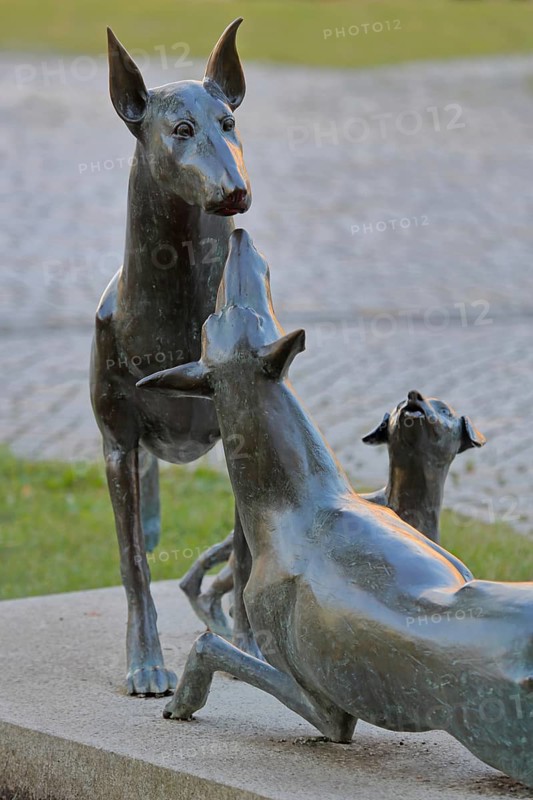 Sculpture Dobermann by Kerstin Stöckel 2019, monument to breeder of dog breed and namesake Karl Friedrich Louis Dobermann, three playing dog figures, dog head, symbol, smell, dog nose, bronze sculpture, modern art, detail, dog breeding, Apolda, Thuringia, Germany