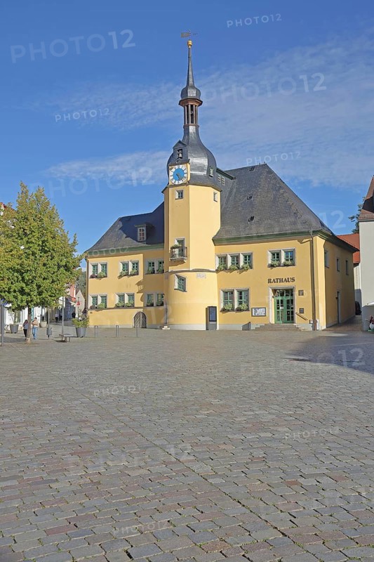 Renaissance town hall with ridge turret, castle, palace, Apolda, Thuringia, Germany