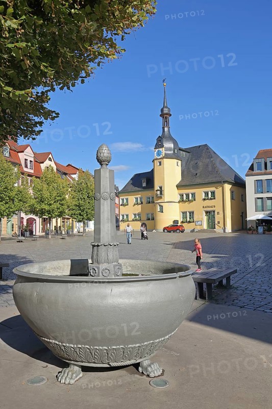 Market square with market fountain and town hall, Renaissance, Market, Apolda, Thuringia, Germany