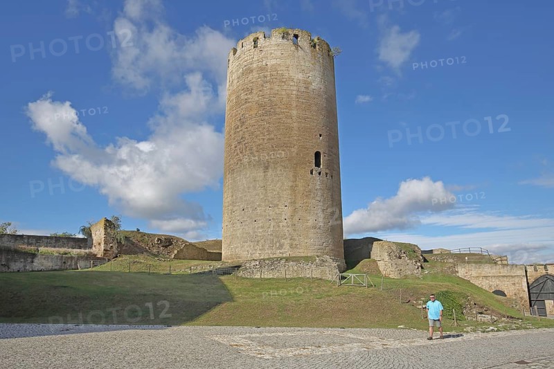 Inner courtyard with Dicker Heinrich, tower, Querfurt Castle, Romanesque Road, Saxony-Anhalt, Germany