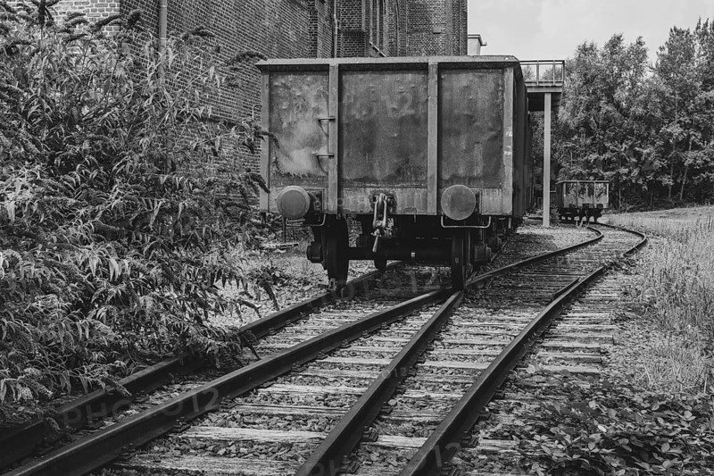 Blooming summer lilacs next to a railway carriage, black and white, LWL Museum, former mine, Hanover colliery, industrial heritage, Bochum, Ruhr area, North Rhine-Westphalia, Germany